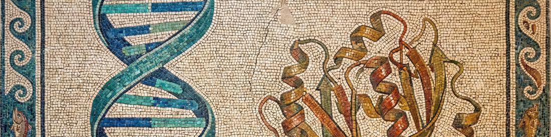 SeqQuests - A New Bioinfomratics Toolkit